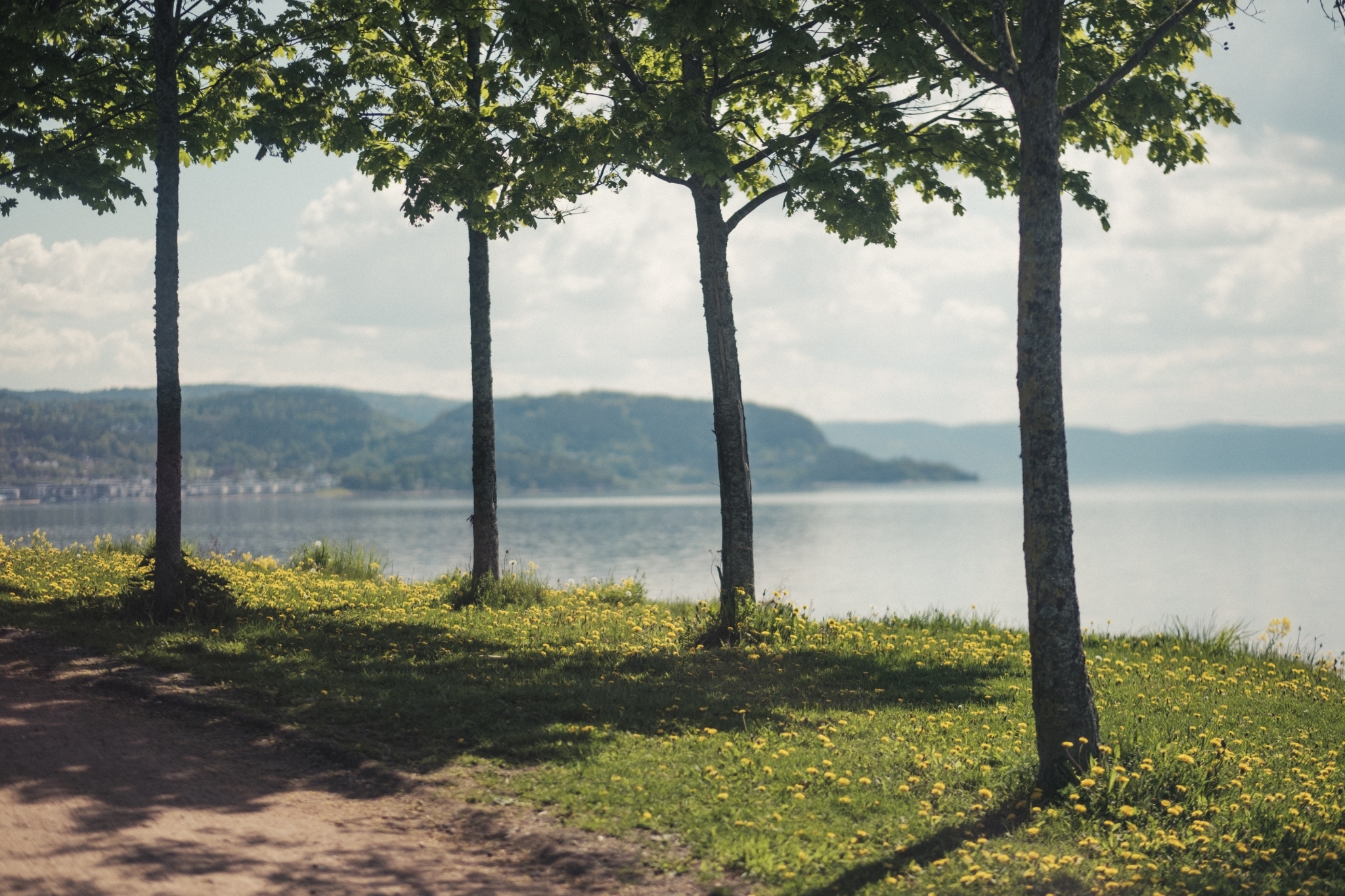 Lemon Drammen Helsepark 4075